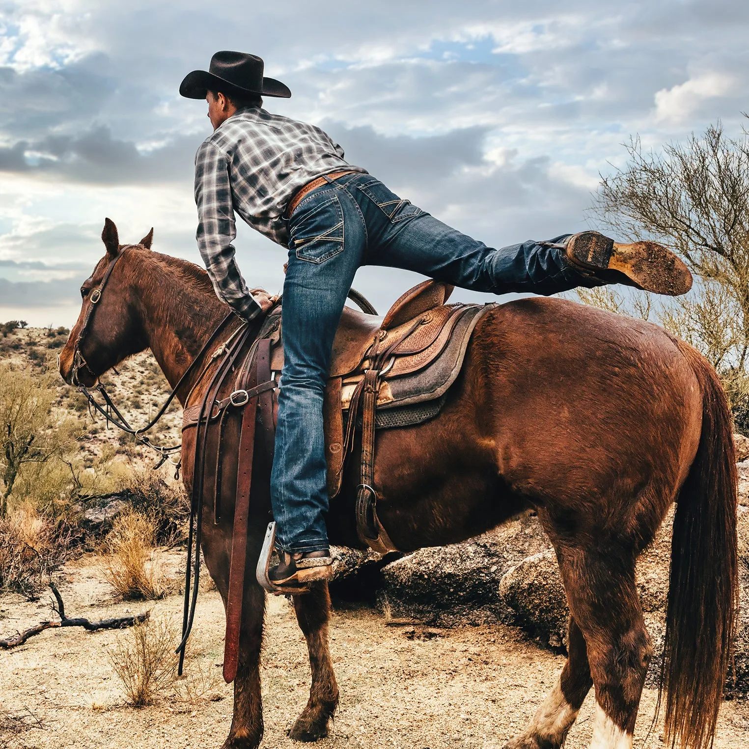 1014 Fit Destructed Dark Wash Jeans -STETSON