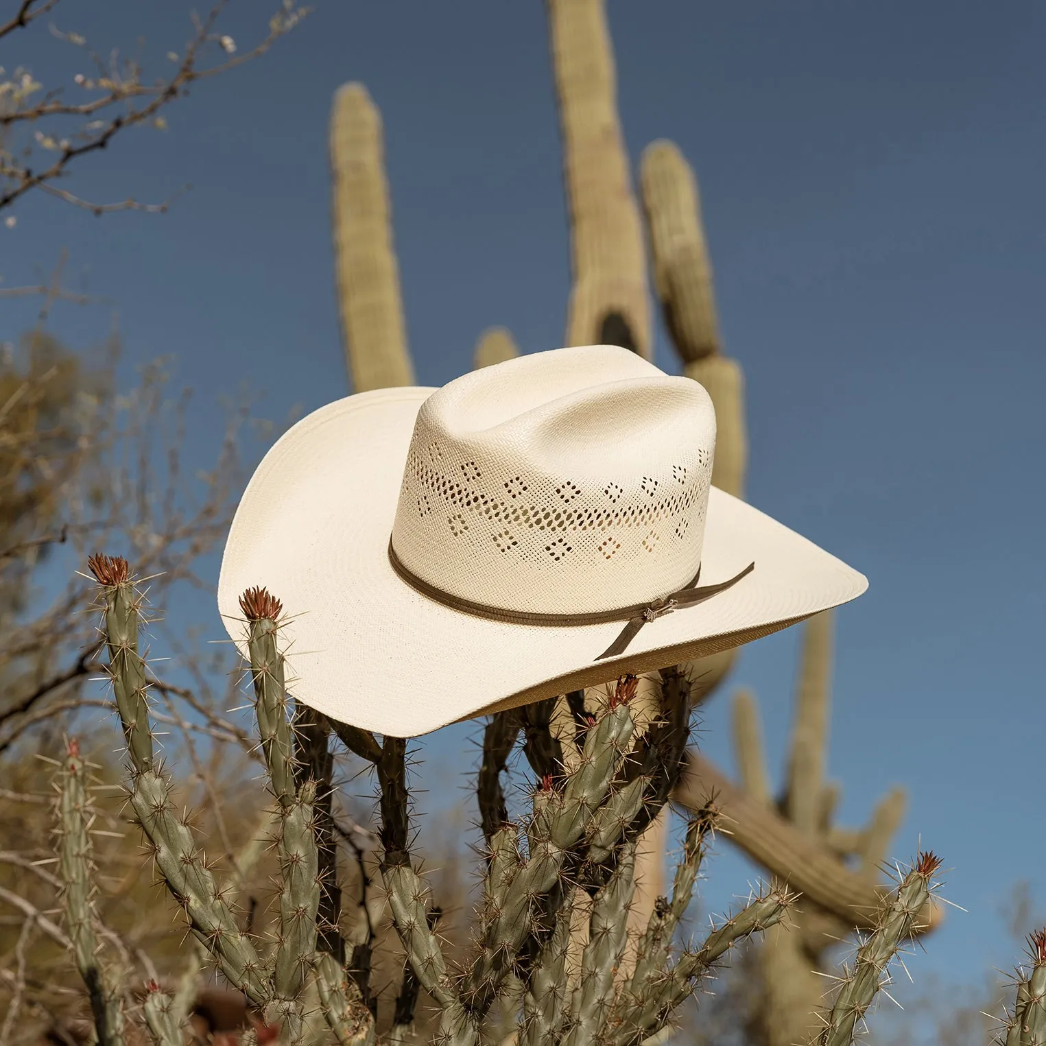 Baker 20X Straw Cowboy Hat -STETSON