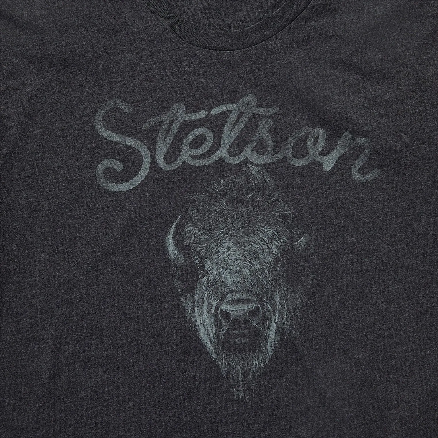 Bison Spirit Graphic Tee -STETSON