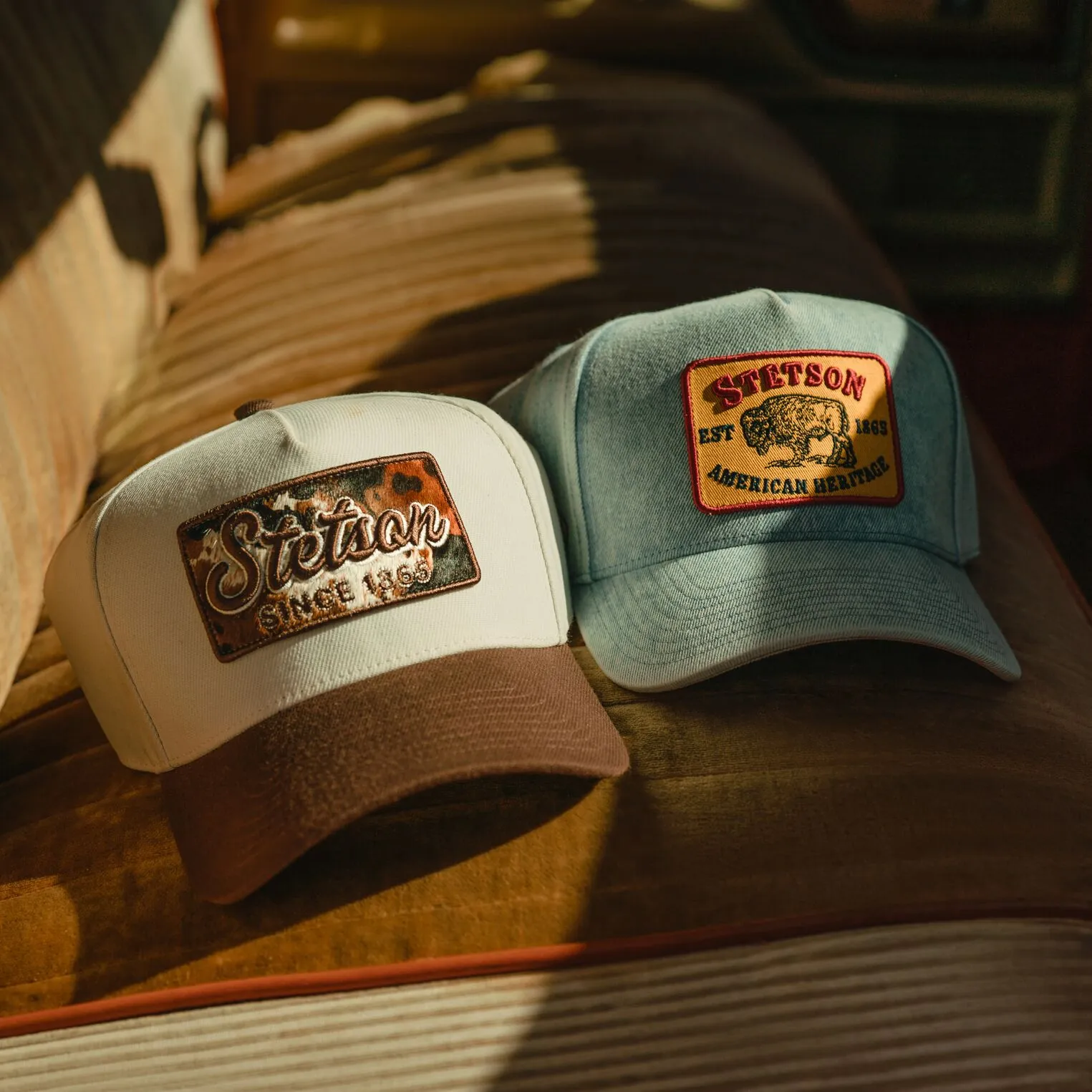 Buffalo Patch Trucker Hat -STETSON