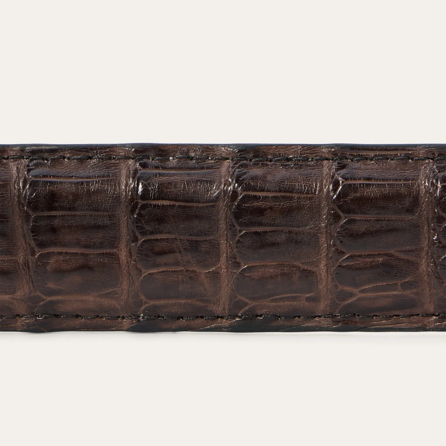 Caiman Western Tab Belt - 1 1/4" Width -STETSON