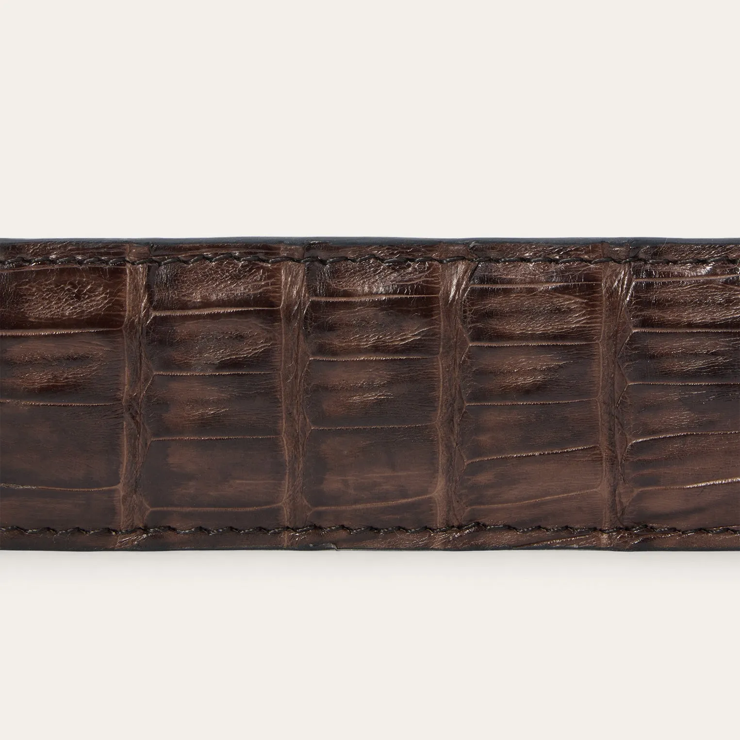 Caiman Western Tab Belt -STETSON