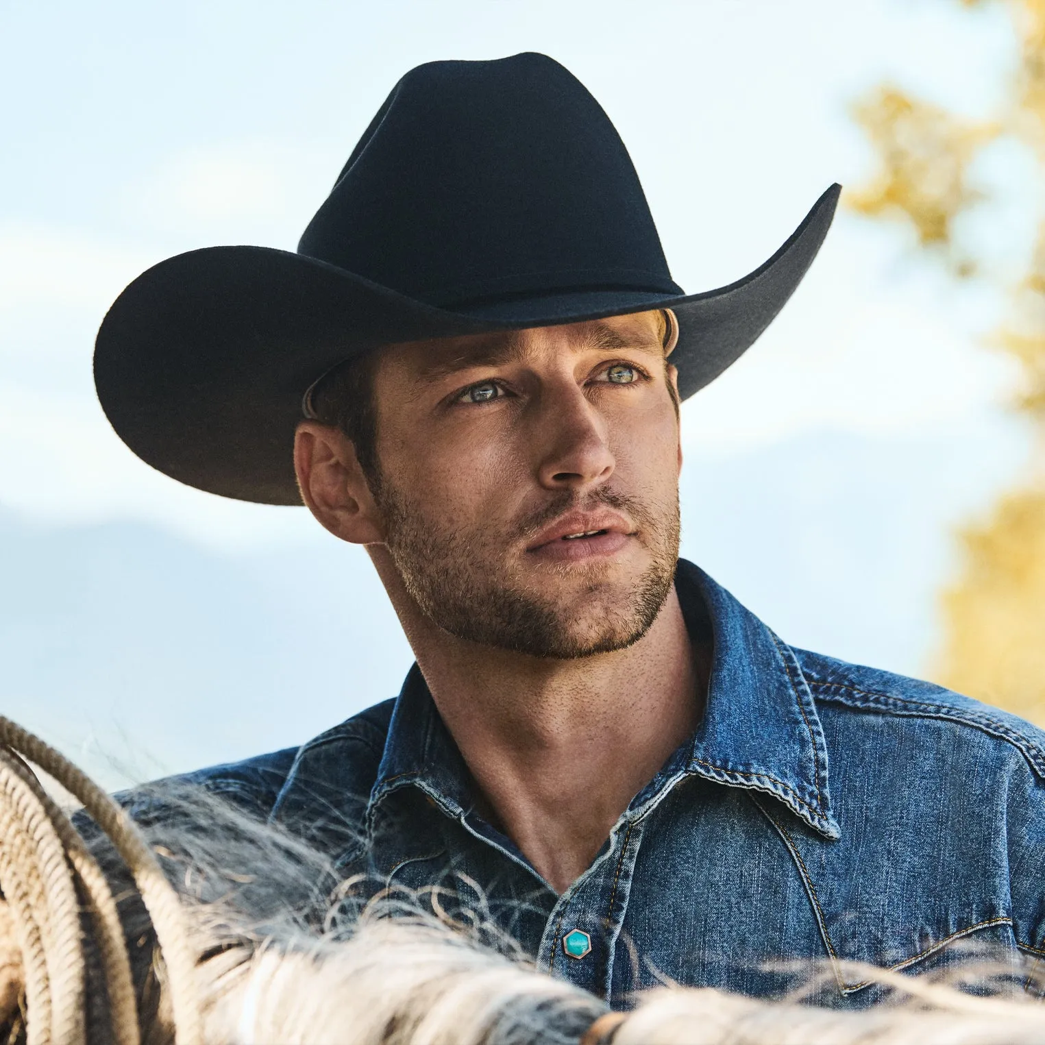 Corral 4X Cowboy Hat -STETSON