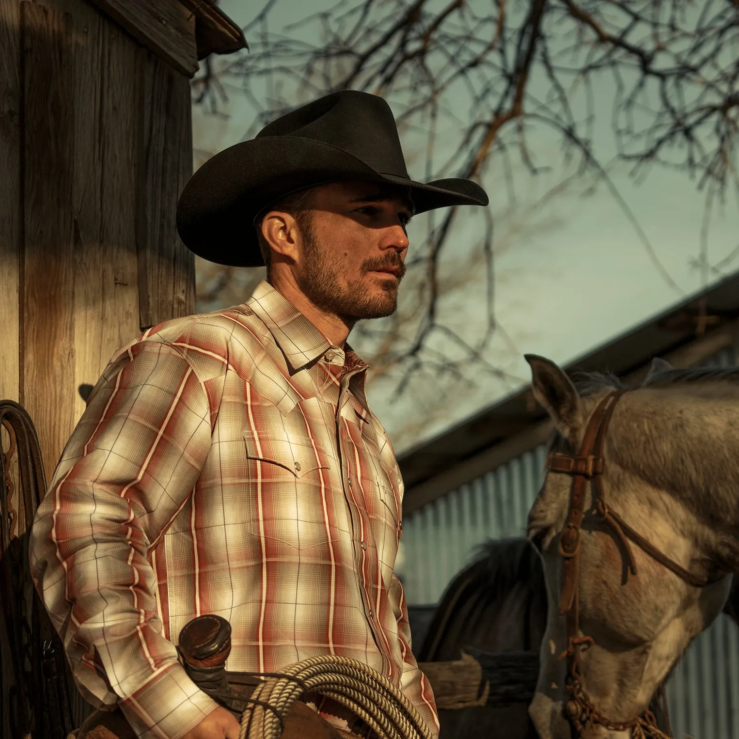 El Amo 500X Premier Cowboy Hat -STETSON