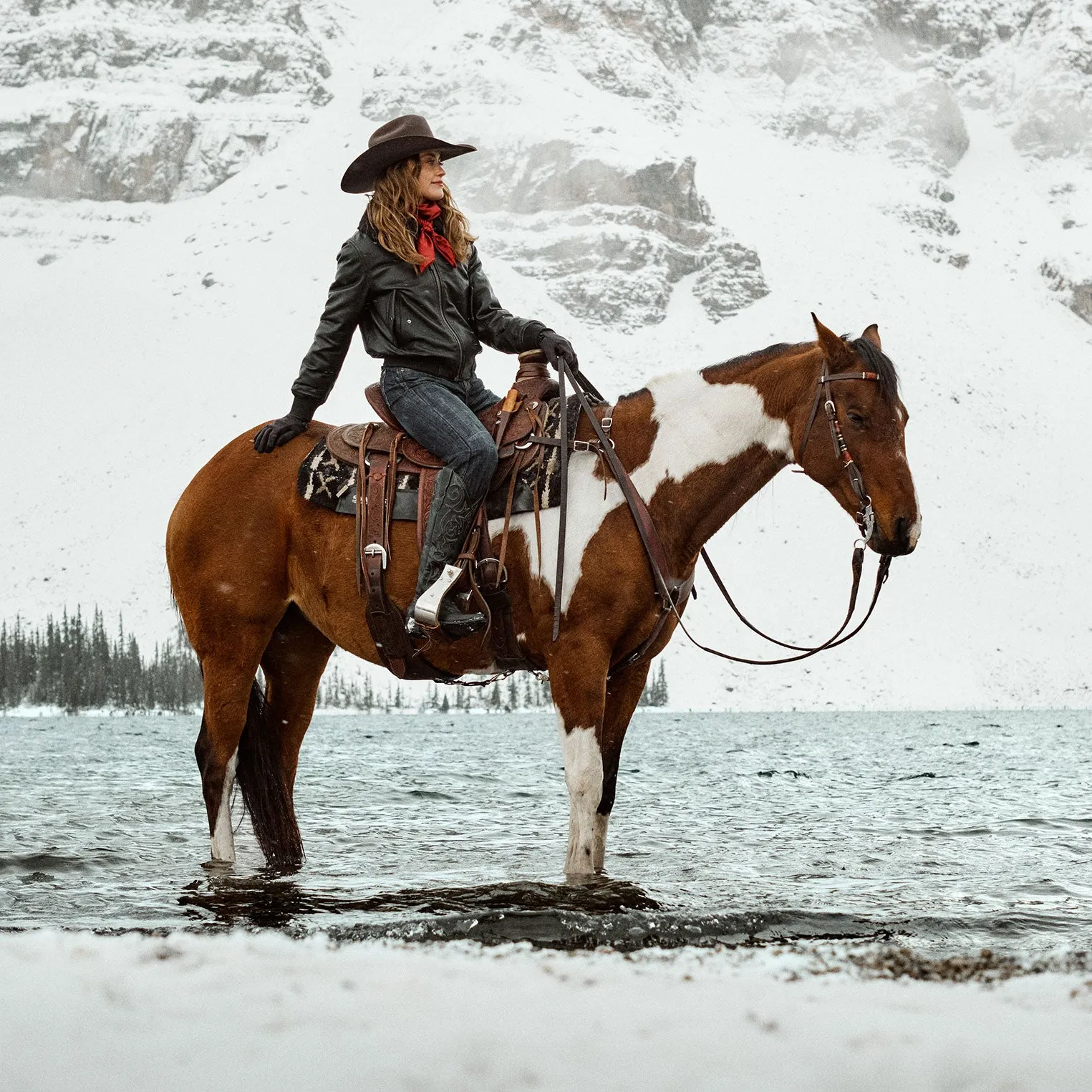 Leather Bomber Jacket -STETSON