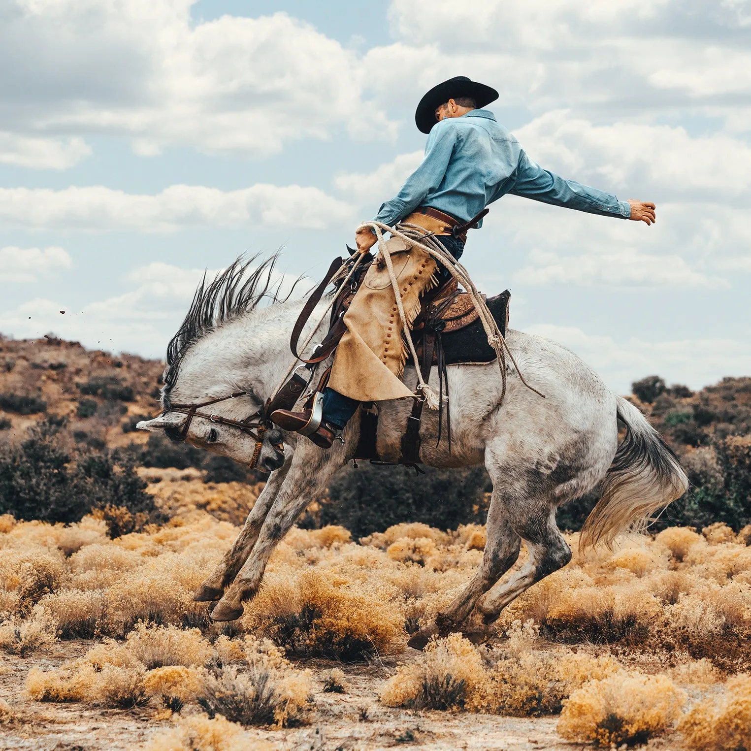 Long-Sleeved Denim Shirt -STETSON