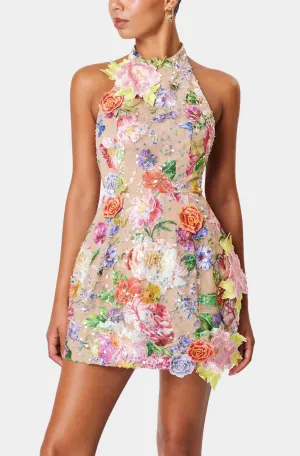 Meadowhawk Dress