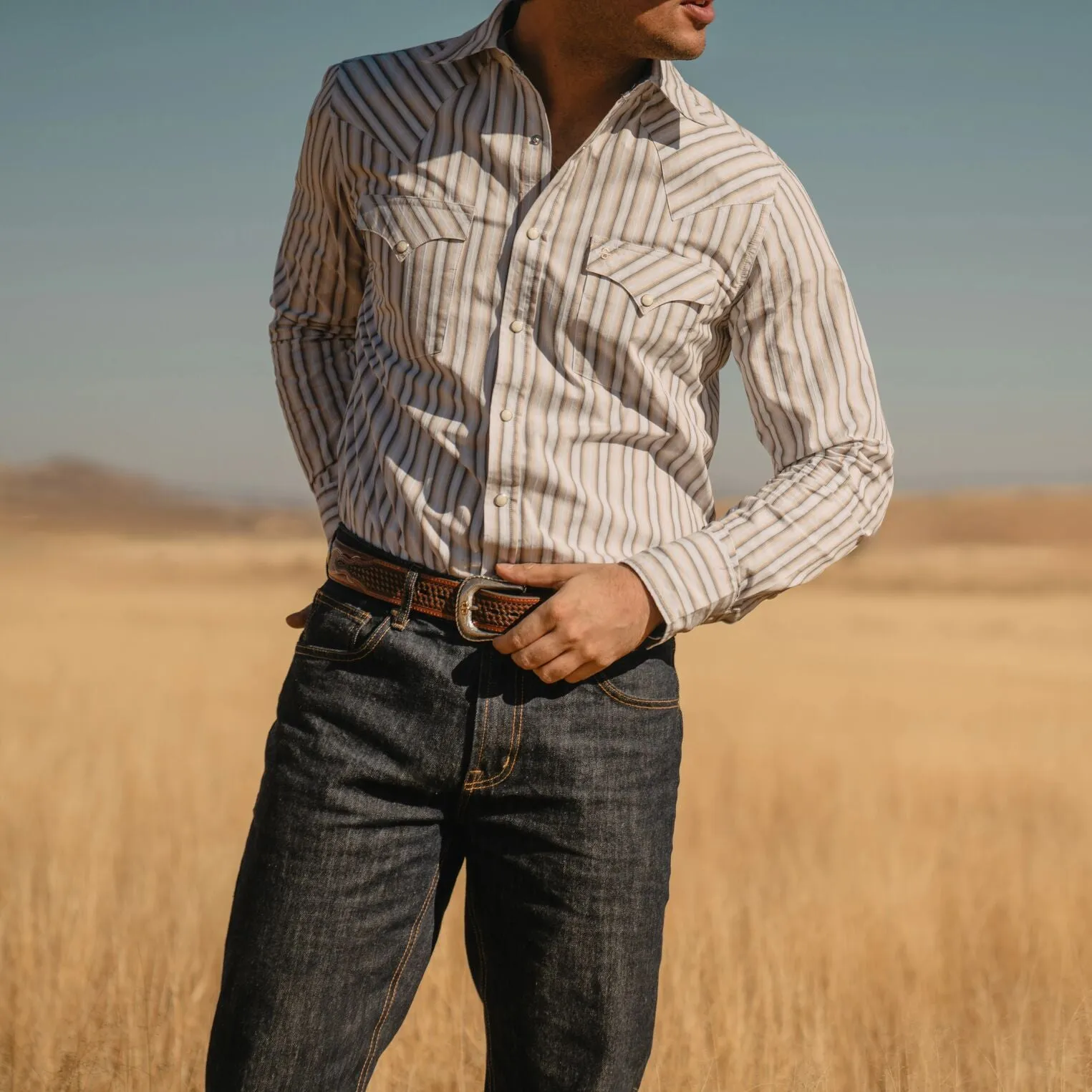 Ombre Stripe Western Shirt -STETSON