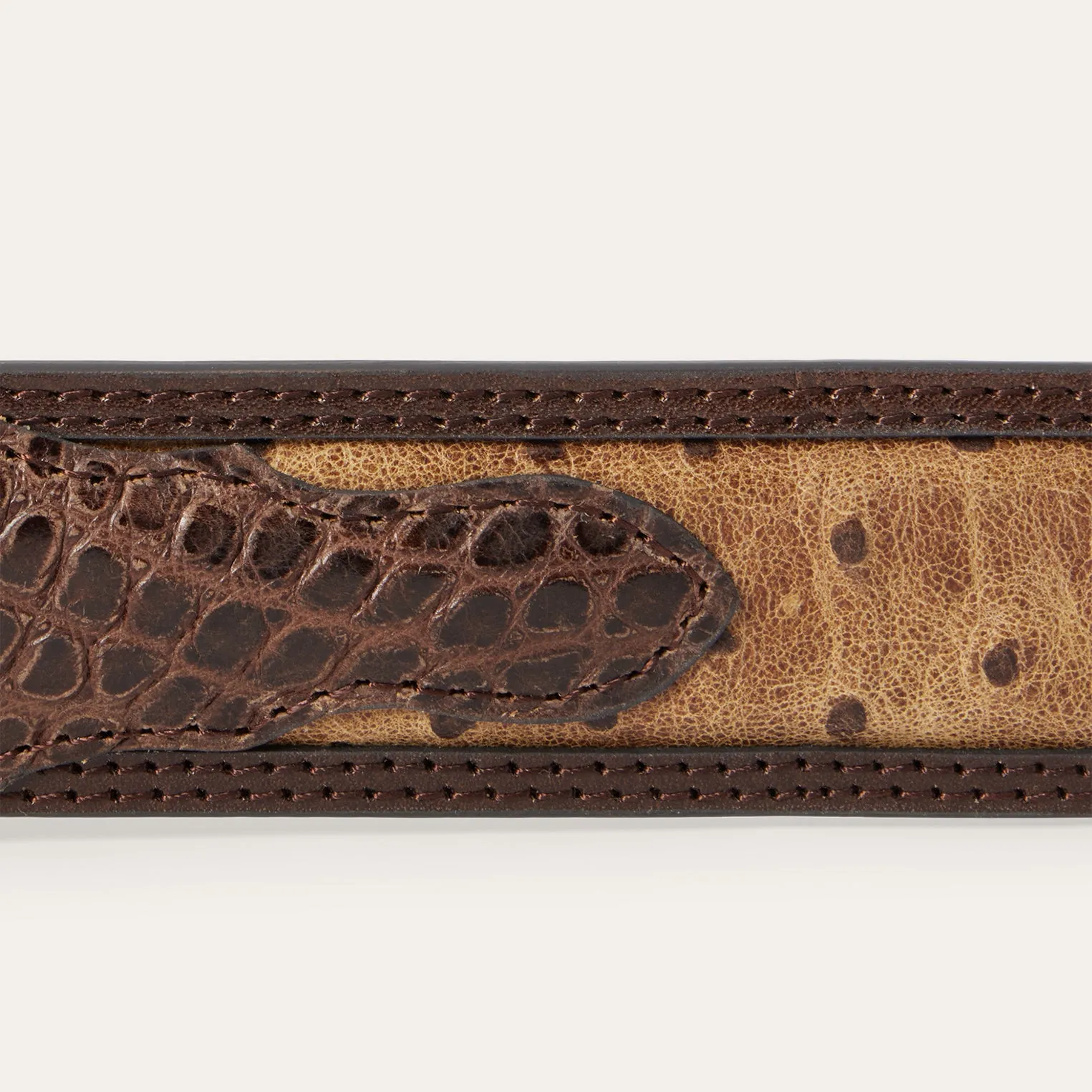 Ostrich Print Croco Embossed Western Tabs Belt -STETSON