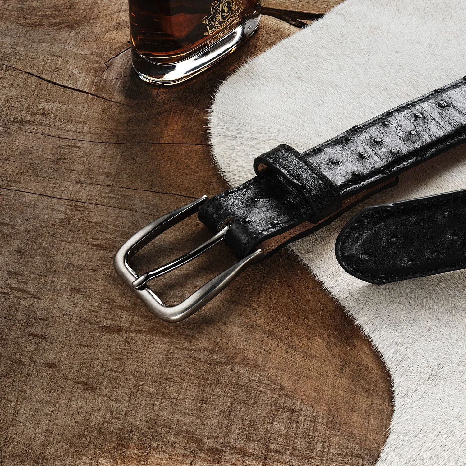 Ostrich Western Tab Belt - 1 1/4" Width -STETSON