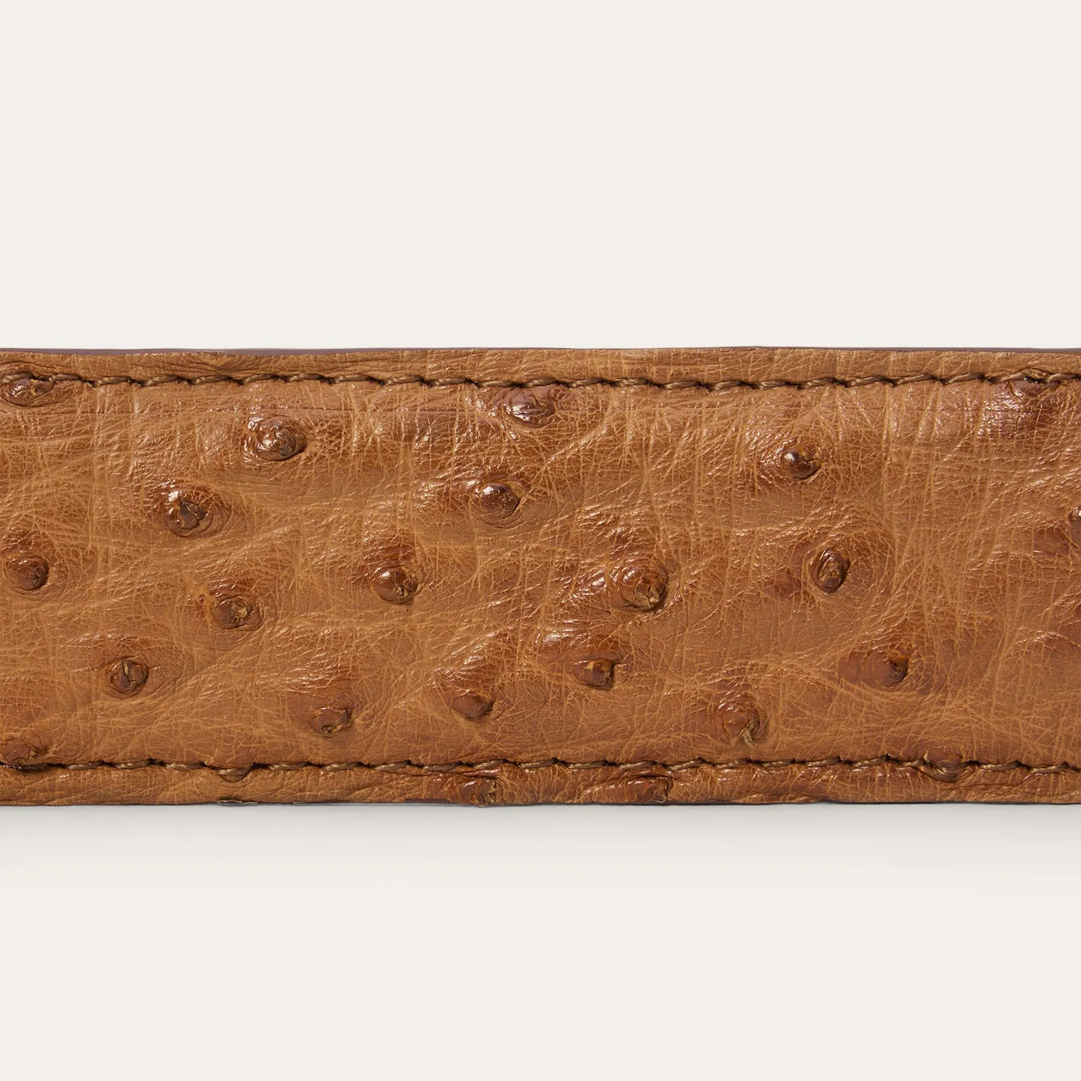 Ostrich Western Tab Belt - 1 1/4" Width -STETSON