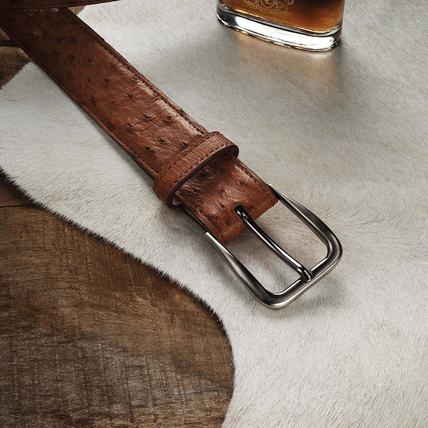 Ostrich Western Tab Belt - 1 1/4" Width -STETSON