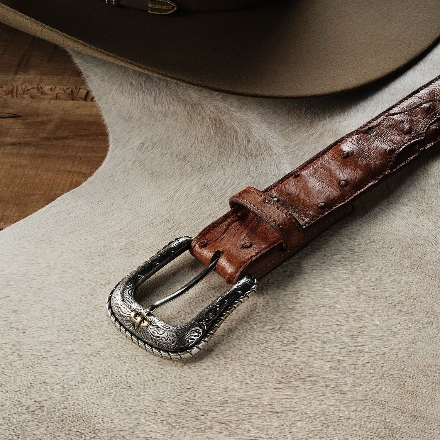 Ostrich Western Tab Belt -STETSON