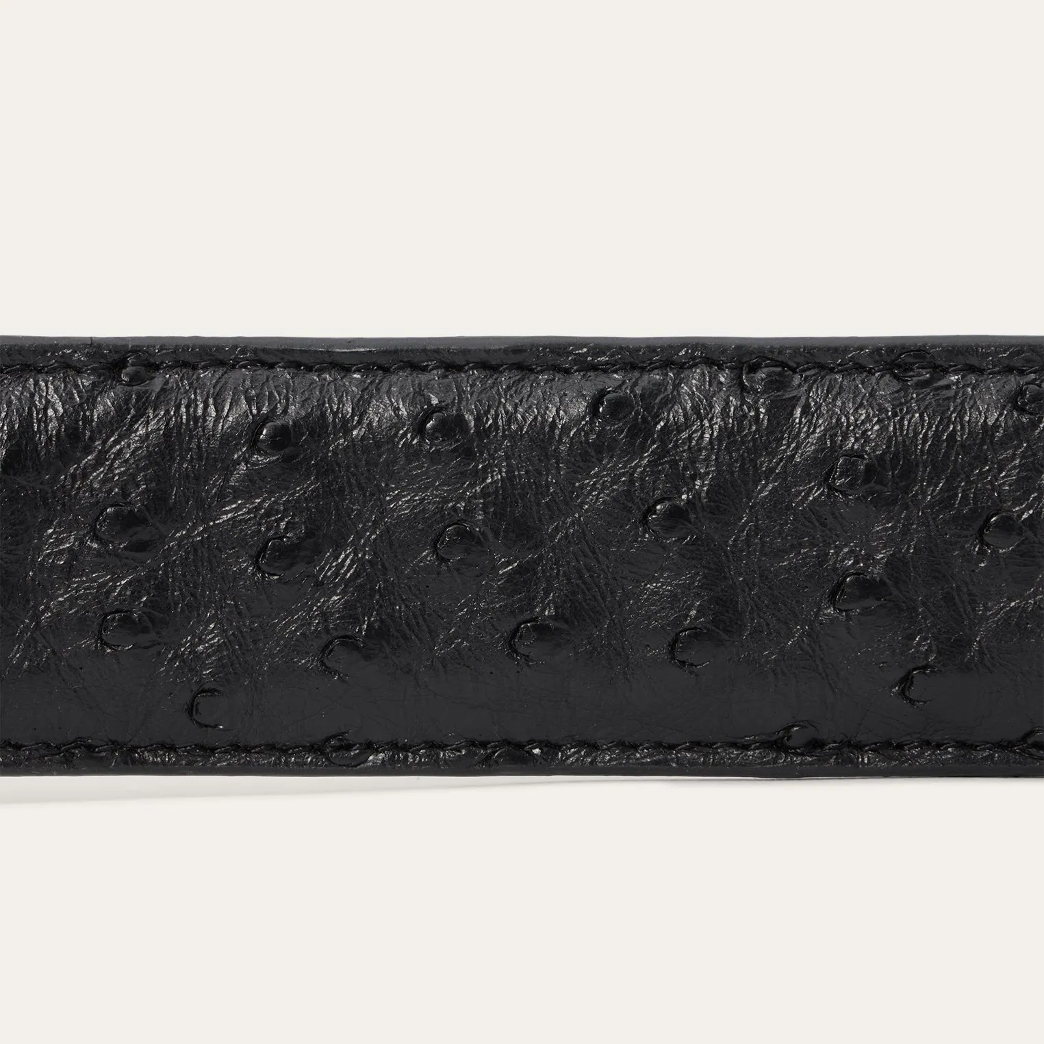 Ostrich Western Tab Belt -STETSON