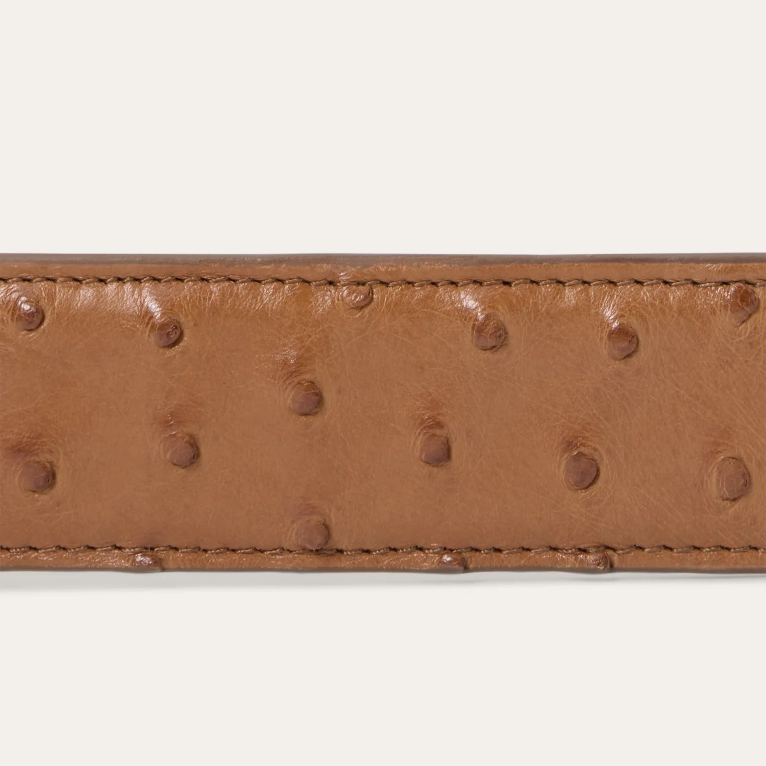 Ostrich Western Tab Belt -STETSON