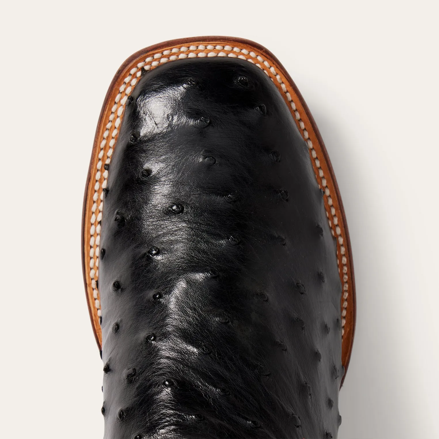 Ozzy Ostrich Boot -STETSON
