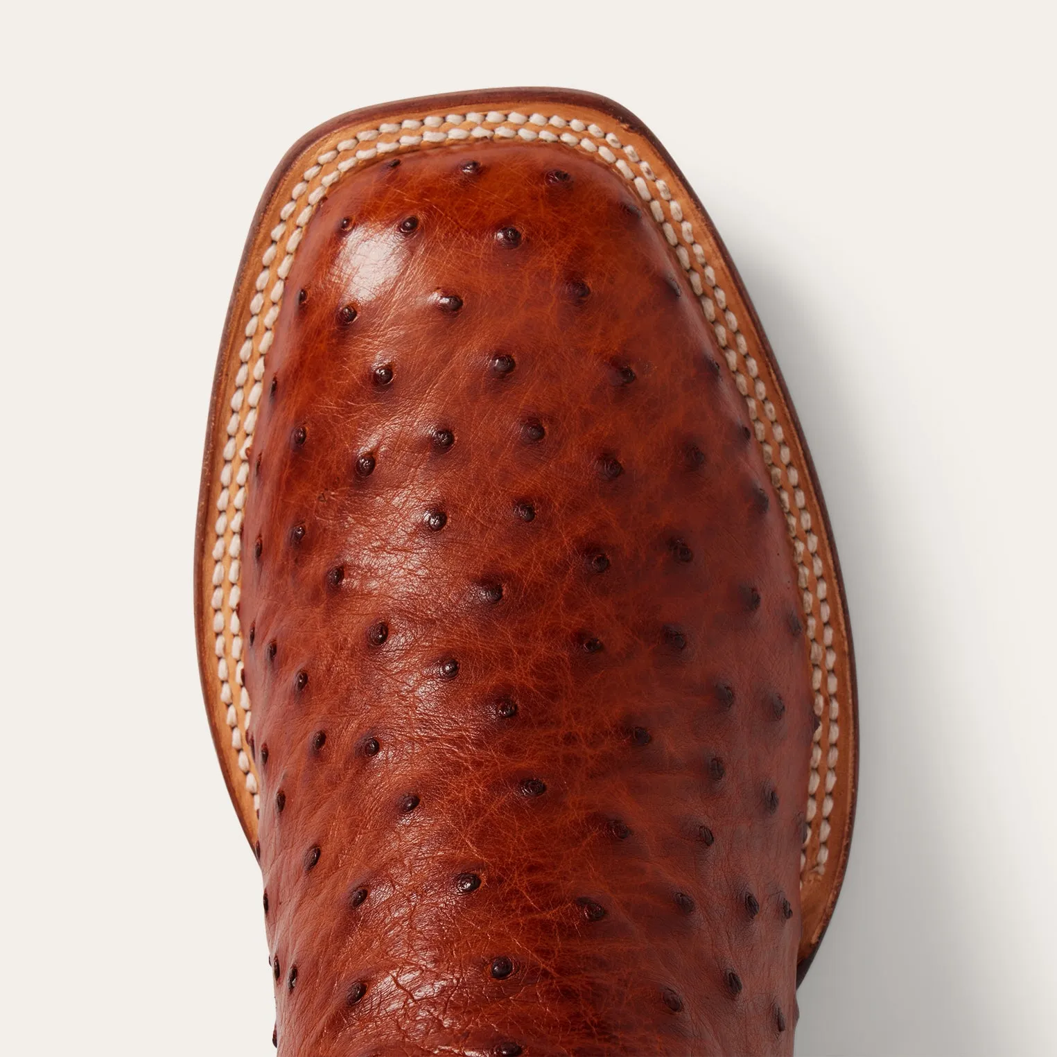 Ozzy Ostrich Boot -STETSON