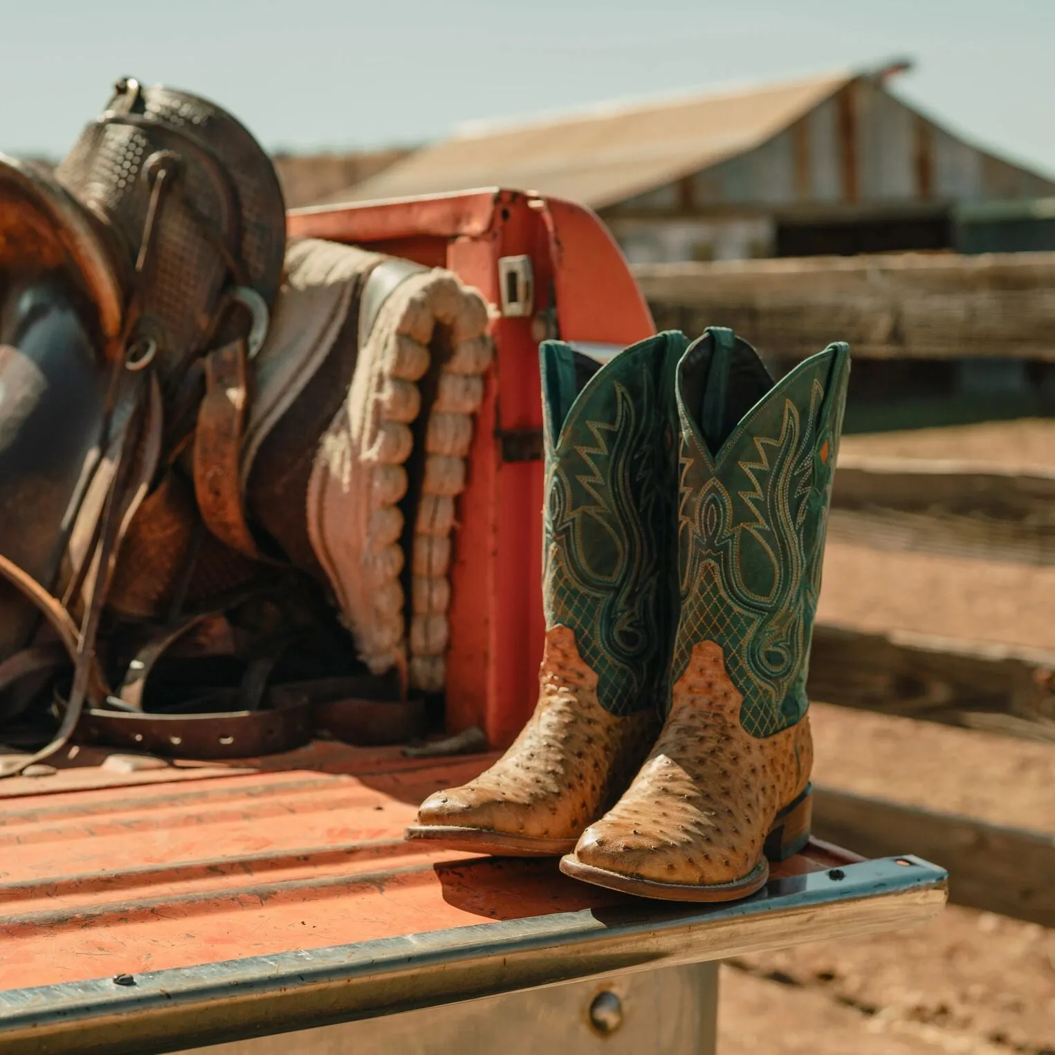 Ozzy Ostrich Boot -STETSON