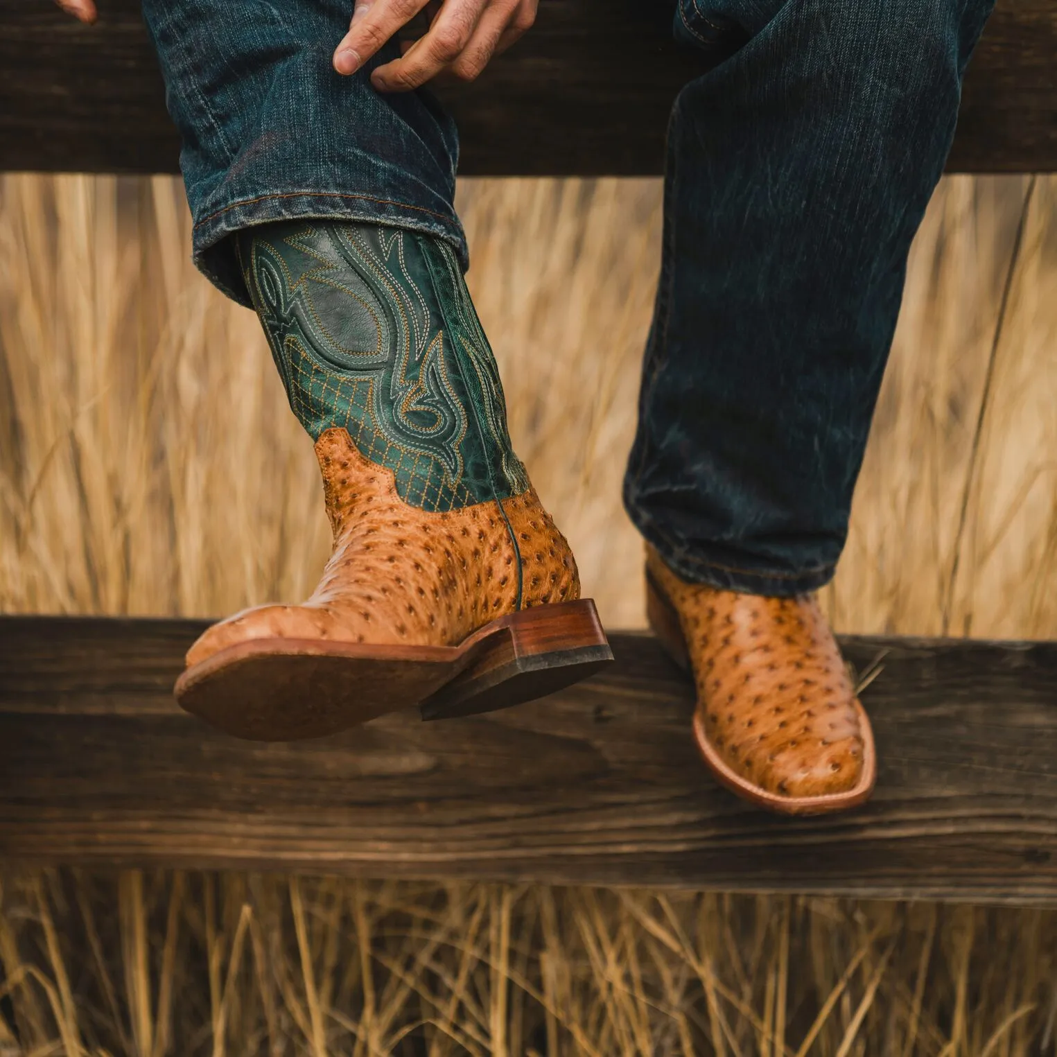 Ozzy Ostrich Boot -STETSON