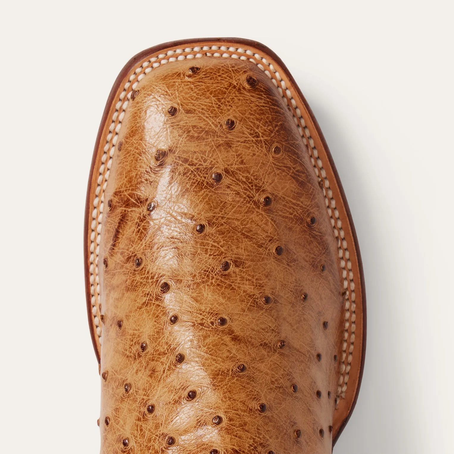 Ozzy Ostrich Boot -STETSON
