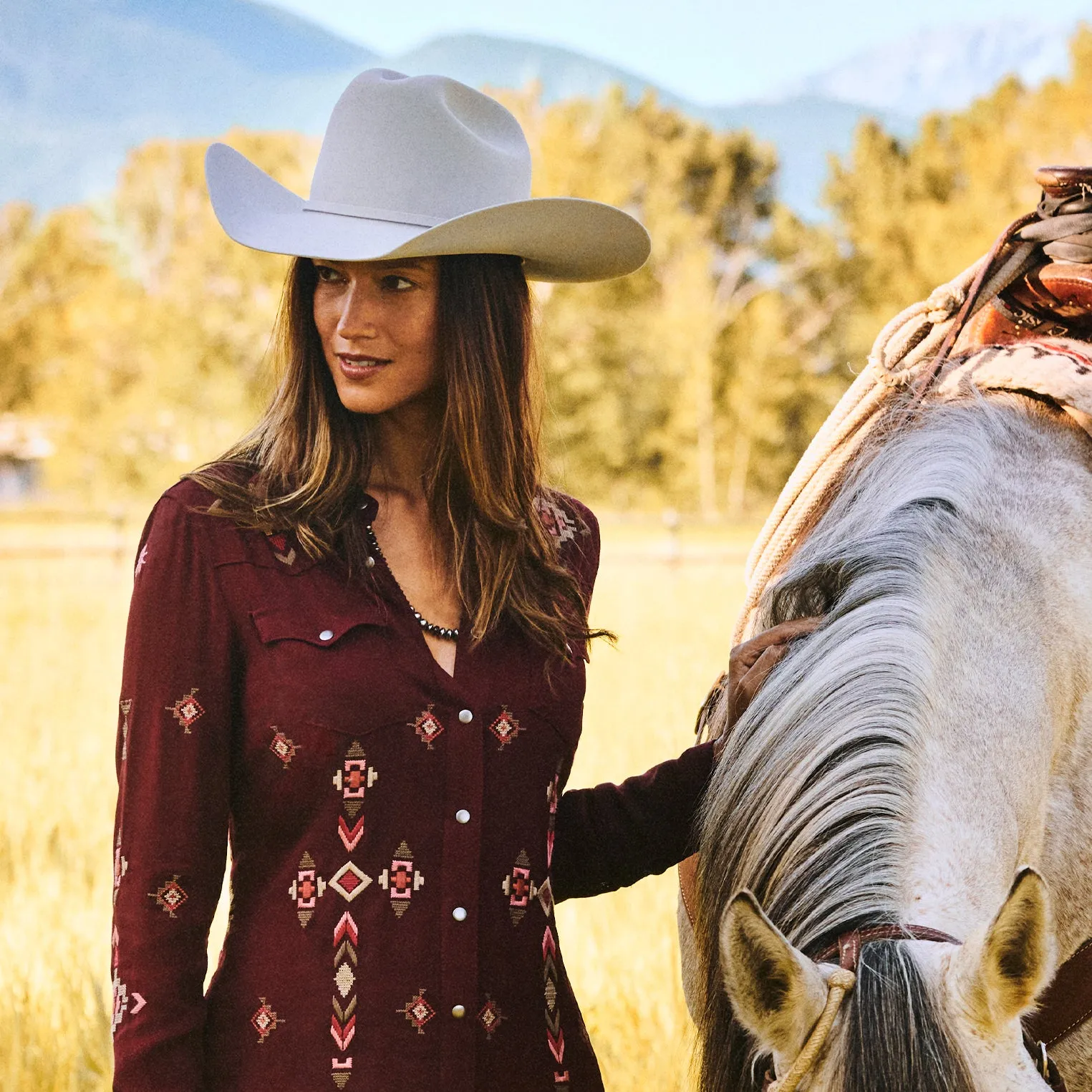 Skyline 6X Cowboy Hat -STETSON