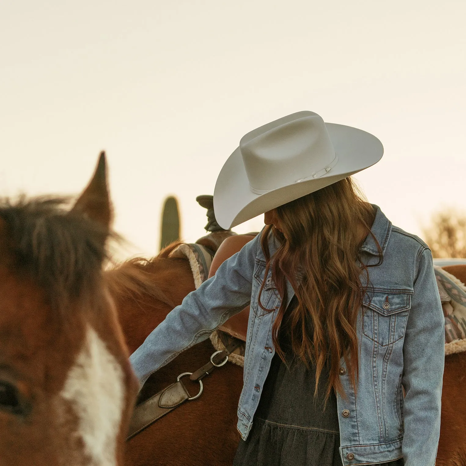 Stretch Denim Jacket -STETSON